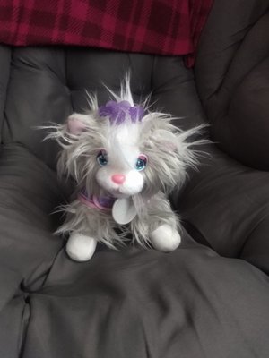 Photo of free Toy cat (Queensferry CH5)
