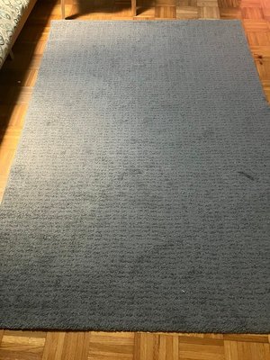 Photo of free Gray area rug (West Town)