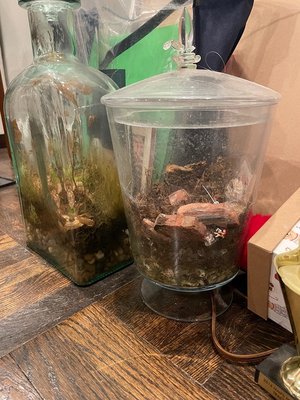 Photo of free Glass vessels (Park slope Brooklyn 11215)