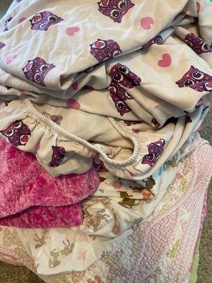 Photo of free Bedding for twin bed (Guelph west end)