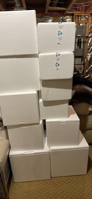 Photo of free styrofoam containers (Arundel Mills area.)