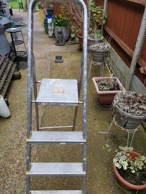 Photo of free Step ladder (Norbury SW16)