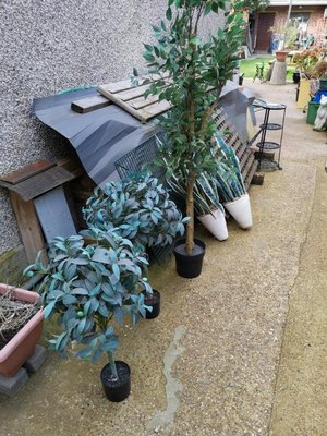 Photo of free Artifical plants (Norbury SW16)