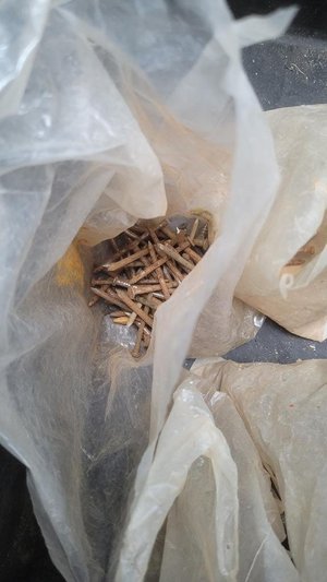 Photo of free Nails (St Annes FY8)
