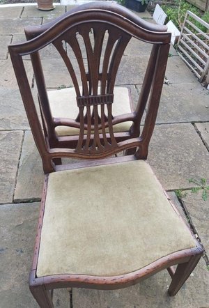 Photo of free 4 dining chairs - used (London N17)