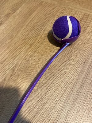 Photo of free Dog ball throw toy (Elgin IV30)
