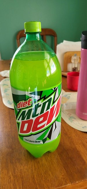 Photo of free 1 2 liter Diet Mountain Dew (Redford)