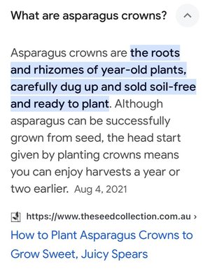 Photo of free Asparagus Crowns (Gtown + Clopper & Richter Farm)