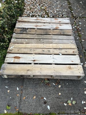 Photo of free Wood pallets (Berkeley, near Claremont Hotel)