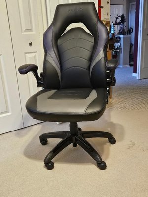 Photo of free Staples Gaming/Office Chair (EGV - Biesterfield & 290)