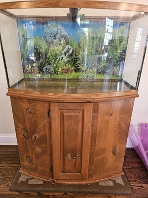 Photo of free Aquarium - 65 gallons with stand (Crieve Hall)