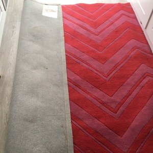 Photo of free Large rug (Petersfield. Ramshill)