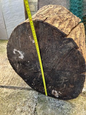 Photo of free Log slice and stump (GL54)