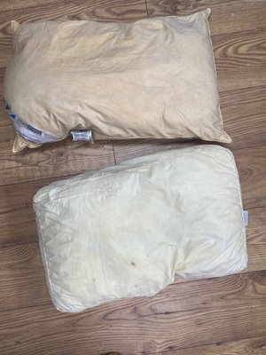 Photo of free Pillows (Swanley BR8)