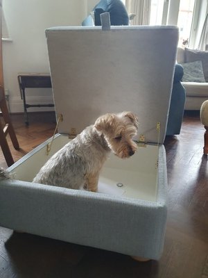 Photo of free Storage footstool, good condition (West Hampstead NW6)