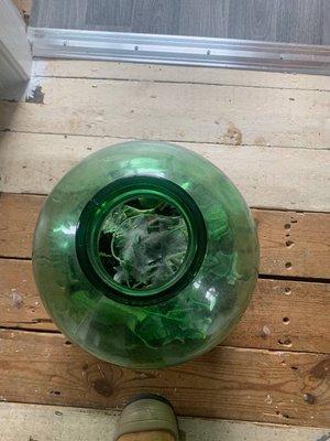 Photo of free Large glass bowl with plastic plants (Stafford ST17)