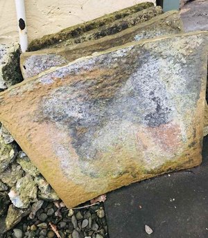 Photo of free 5 No.Concrete Paving Stones - shapedd (Heddon on the Wall NE15)