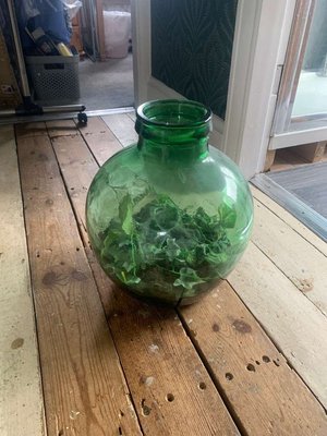 Photo of free Large glass bowl with plastic plants (Stafford ST17)