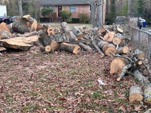 Photo of free wood (North Chesterfield, VA)