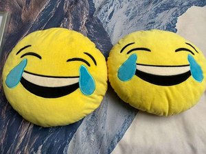 Photo of free Pair of scatter cushions (Surrenden BN1)