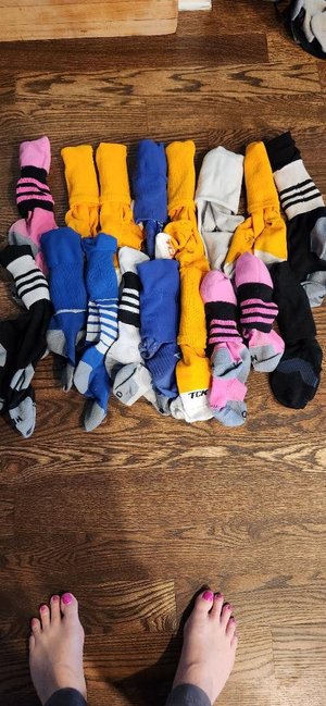 Photo of free Soccer socks (St. Charles)