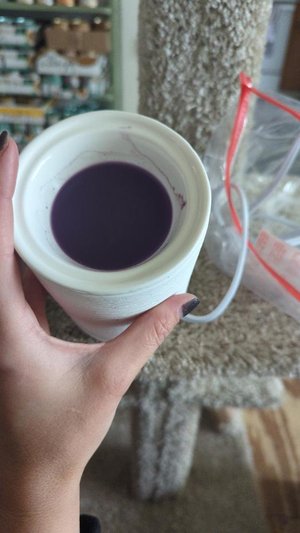 Photo of free Wax melter for home scents (Brunswick md)