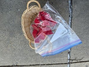 Photo of free bag of small red velvet bows