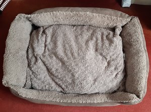 Photo of free Large, machine washable dog bed (GU15)