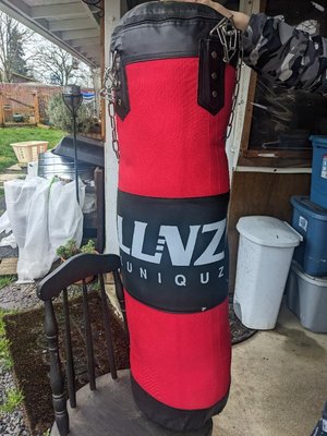 Photo of free Hanging punching bag (Aumsville)