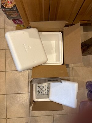 Photo of free Two styrofoam coolers w/ ice packs (Arlington, VA)