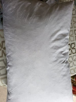 Photo of free Very soft feathered pillow (Duffield DE56)