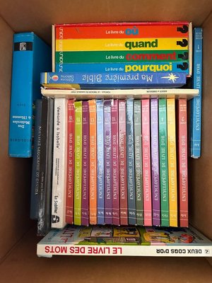 Photo of free 3 boxes of French books (Kemptville)