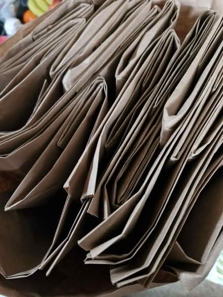 Photo of free Large paper bags (Hyde SK14) #1