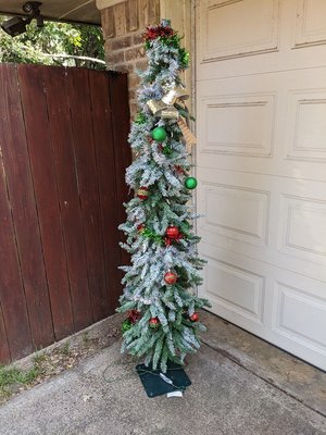 Photo of free Christmas tree (Denton near I-35E and Teasley)