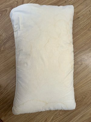 Photo of free Feather pillow (N8 Crouch End)