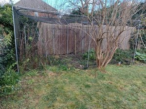 Photo of free Fruit cage (Hitchin, SG4)