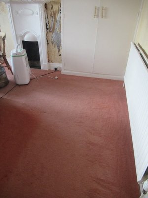 Photo of free Pink Carpet (Llandrindod LD1)