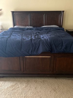 Photo of free Big Costco bear and bed (RSM)