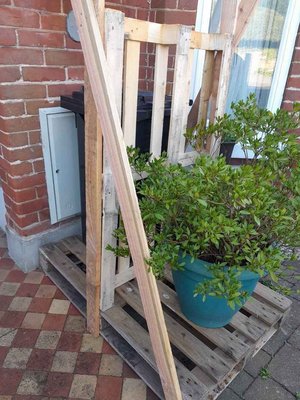 Photo of free Pallet (Manningtree CO11)