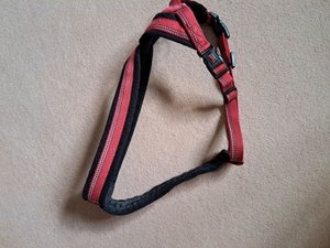 Photo of free Halti Dog harness (Parnwell)