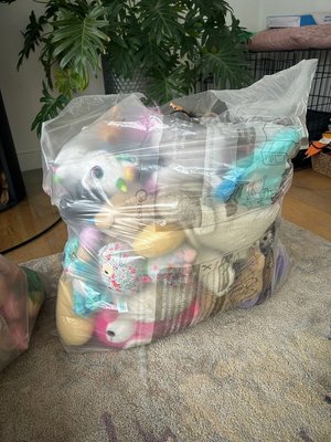 Photo of free Assorted dolls, soft toys (Hartley DA3)