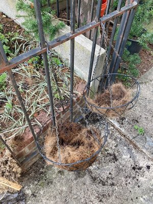 Photo of free 2 outdoor hanging baskets (Petworth/ Park View)