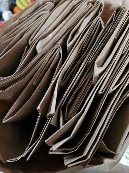 Photo of free Large paper bags (SK14) #3