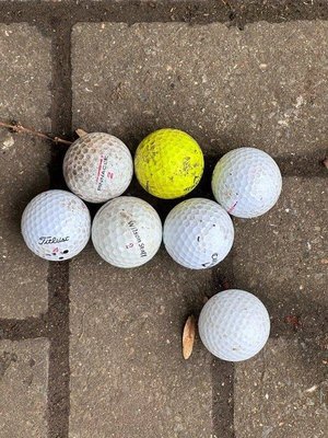 Photo of free Golf balls (Greystones S11)