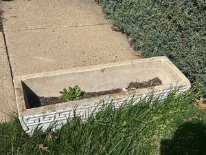 Photo of free Concrete outdoor planter (Academy Hill area/Warrenton)