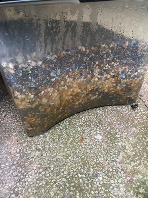 Photo of free Fish tank gravel (Manchester M9)