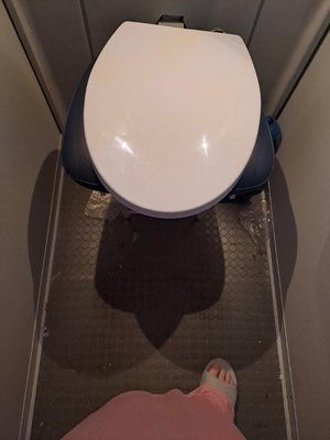 Photo of free toilet seat (HAO near Wembley health centre)
