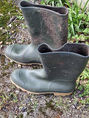 Photo of free Wellington boots (SN3 Walcot)