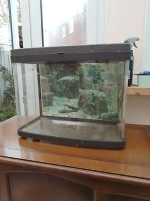 Photo of free Fish tank (CV21 ,brownsover)