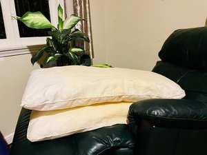Photo of free 2 King size pillows (Piedmont/Oakland border)